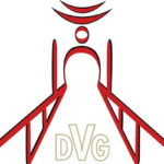DVG-e.V.png