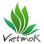 cropped-VietmoK-FAVICON.png